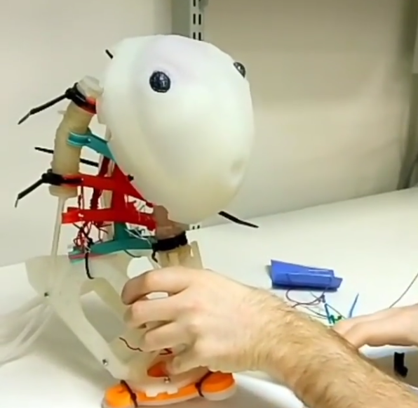 robot-anatomy:neck.png